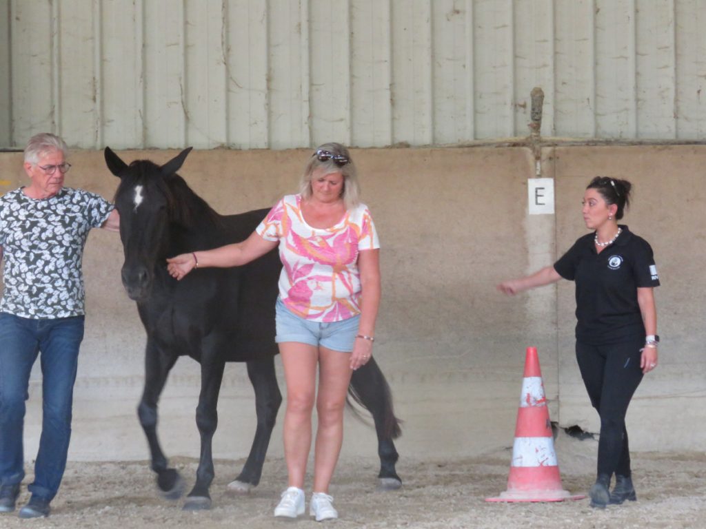 Groupe en séance avec cheval noir
